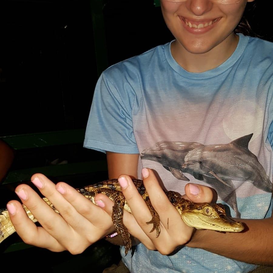 Babyalligator