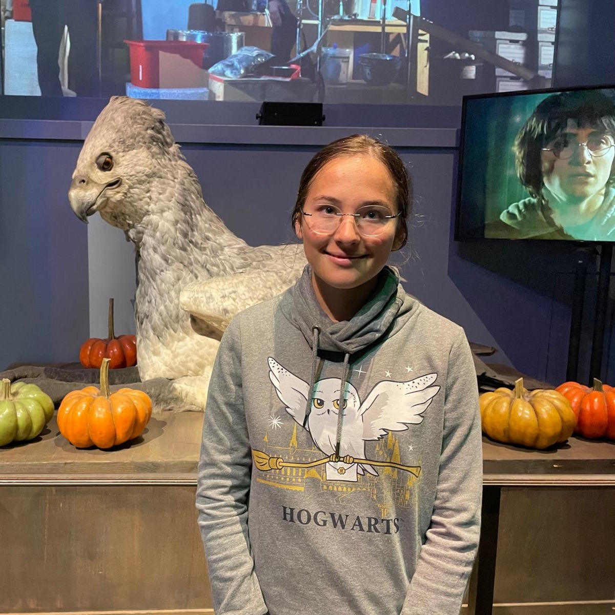 Im Harry Potter Studio